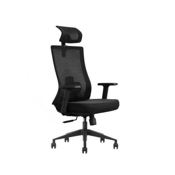 SKILLCHAIRS Ergo Aria (Black) SKILLCHAIRS Ergo Aria (Black)